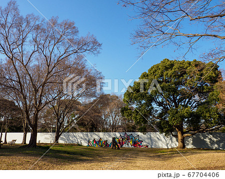 夢の島公園　2018年1月撮影 67704406