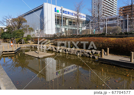 福富川公園　2018年2月撮影 67704577