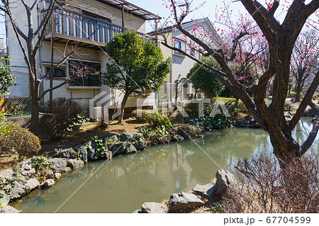 福富川公園　2018年2月撮影 67704599