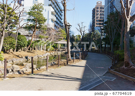 福富川公園　2018年2月撮影 67704619