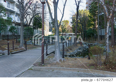 福富川公園 2018年2月撮影 福富川公園 2018年2月撮影 67704627