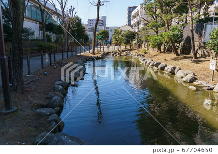 福富川公園 2018年2月撮影 福富川公園 2018年2月撮影 67704650