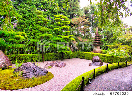 京都、妙心寺退蔵院の庭園 京都、妙心寺退蔵院の庭園 67705026