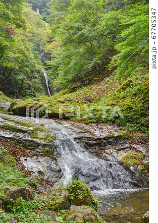 猿尾の滝 猿尾の滝 67705347