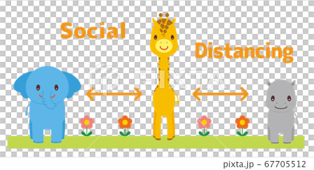 ソーシャルディスタンスをとる動物たち こども向け イラスト ソーシャルディスタンスをとる動物たち こども向け イラスト 67705512