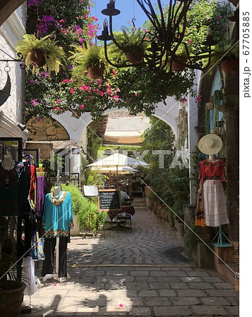 ケレタロのカフェのある風景 67705885