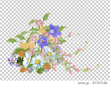 水彩秋花花束 水彩秋花花束 67707186