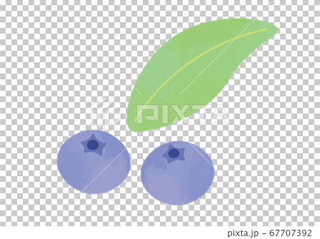 藍莓插圖 67707392