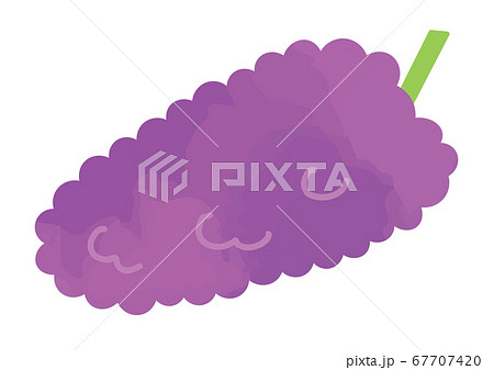 デラウェアのイラスト 67707420