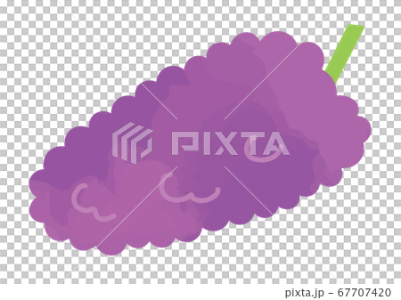 デラウェアのイラスト 67707420