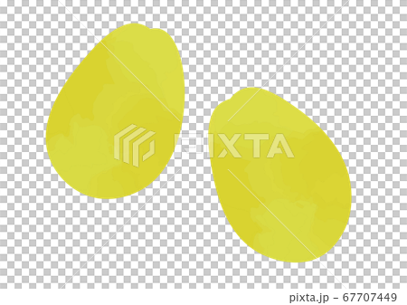 卡琳的插圖 67707449