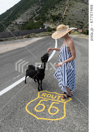 Young attractive woman wearing striped summer dress and straw hat standing on an endless straight empty road in the middle of nowhere on the Route 66 road and feeding black sheep. Young attractive woman wearing striped summer dress and straw hat standing on an endless straight empty road in the middle of nowhere on the Route 66 road and feeding black sheep. 67707466