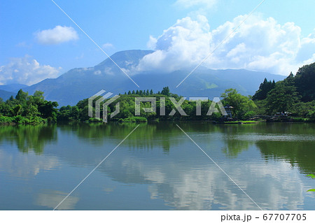 夏の三島池 夏の三島池 67707705