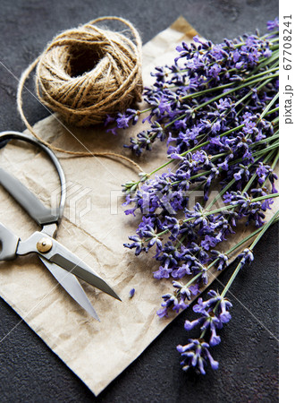 Lavender bouquet on a black background 67708241