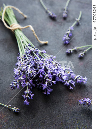 Lavender bouquet on a black background 67708243