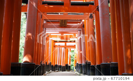 伏見稲荷大社 67710194