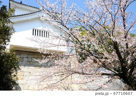 挙母城跡 挙母城跡 67710607