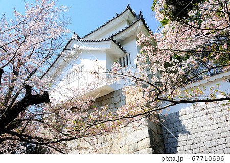 挙母城跡 挙母城跡 67710696