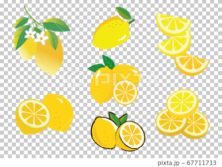 レモン 果物 イラスト セット レモン 果物 イラスト セット 67711713