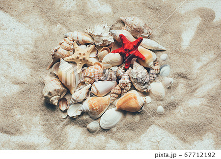 Seashells summer background. Lots of different Seashells summer background. Lots of different 67712192