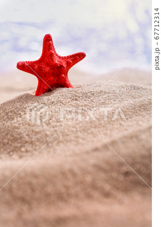 Beautiful red starfish standing in the sand on the 67712314