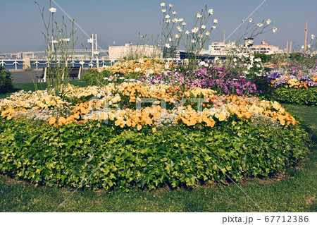 横浜・山下公園 横浜・山下公園 67712386