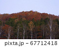 高原の紅葉3 67712418