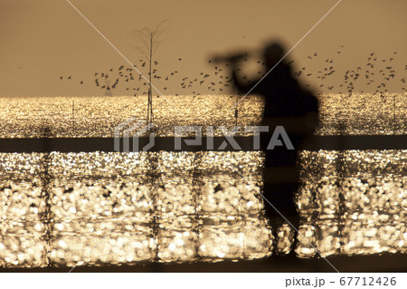 黄昏の海辺 67712426