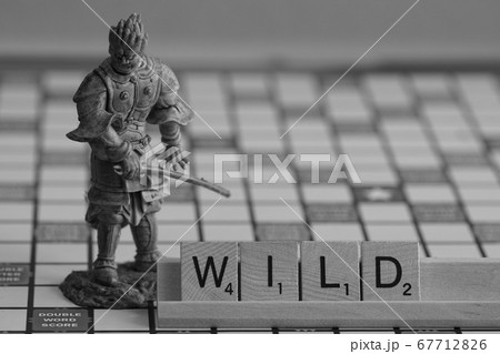 伐折羅　WILD 67712826