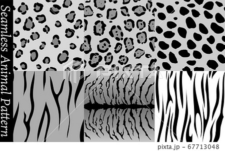 シームレスパターン 豹柄 ジャガー チータ 虎 シマウマの柄模様のイラスト素材