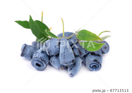 Fresh honeysuckle blue berry fruits with leaf, Fresh honeysuckle blue berry fruits with leaf, 67713513