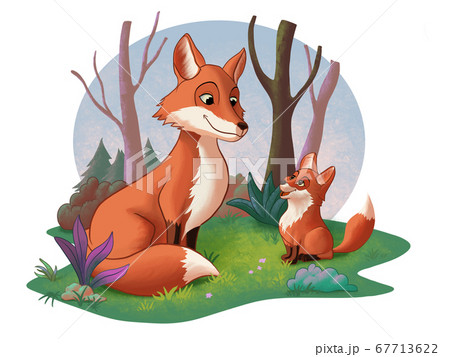 Fox mother and cub 67713622