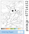 Colorless vector contour illustration of bunny in a hat picking carrots in a wood isolated on white and suggested palette. Wild animals preschool kids coloring pages and developmental activity. 67714152