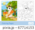 Colorful template and colorless contour image of cute bunny in a hat picking carrots in a basket in a wood. Wild animals preschool kids coloring book vector illustrations and developmental activity. 67714153