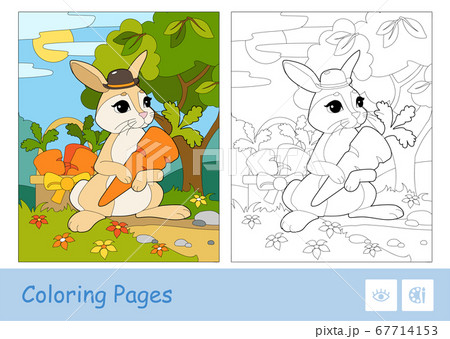 Colorful template and colorless contour image of cute bunny in a hat picking carrots in a basket in a wood. Wild animals preschool kids coloring book vector illustrations and developmental activity. 67714153