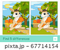 Find five differences quiz learning children game with cute bunny in a hat picking carrots in a basket in a wood. Colorful image of wild animals. Developmental activity for young children. 67714154