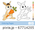 Colorful template and colorless contour image of cute rabbit holding a carrot isolated on white background. Wild animals preschool kids coloring book illustrations and developmental activity. 67714205