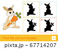 Find the correct shadow quiz learning children game with cute rabbit holding a carrot and four silhouette shadows for the youngest children. Learning of wild animals, mammals and herbivores for kids. 67714207
