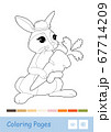 Colorless vector contour image of a bunny with a carrot isolated on white background and suggested palette below. Wild animals preschool kids coloring book illustrations and developmental activity. 67714209