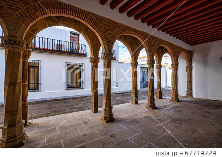 Palace of the Zapata in Llerena, Extremadura, Palace of the Zapata in Llerena, Extremadura, 67714724