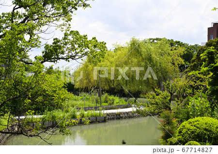 柳川市 掘割のある風景 柳川市 掘割のある風景 67714827
