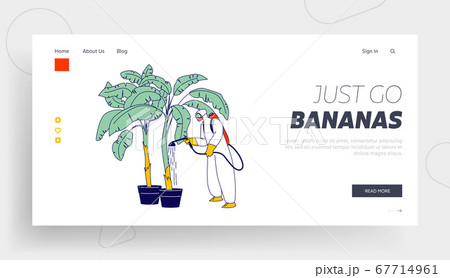 Worker Character Fertilizing Banana Palm Tree Landing Page Template. Labourer Work in Tropical Country Care of Fruits Worker Character Fertilizing Banana Palm Tree Landing Page Template. Labourer Work in Tropical Country Care of Fruits 67714961