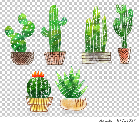 水彩手繪仙人掌集 67715057