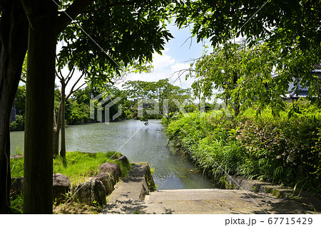 柳川市　掘割のある風景　 67715429