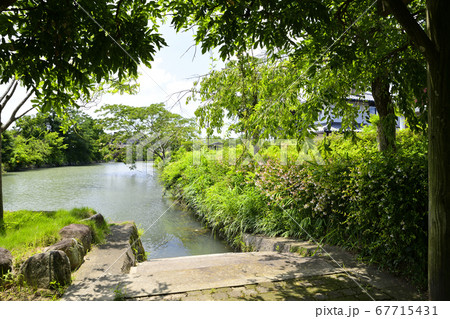 柳川市 掘割のある風景 柳川市 掘割のある風景 67715431
