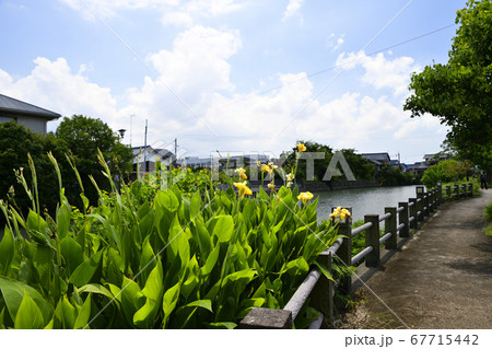 柳川市 掘割のある風景 柳川市 掘割のある風景 67715442
