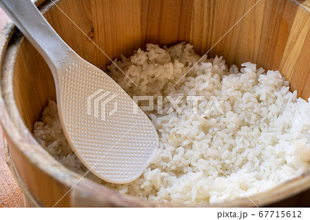 ごはん イネ 米 67715612