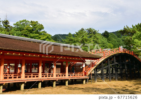 厳島神社（大鳥居工事中）とフェリーの風景（曇り空） 67715626