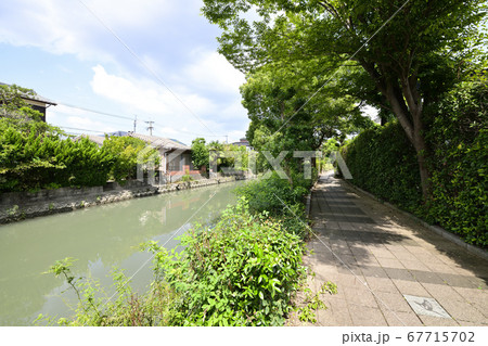柳川市 掘割のある風景 柳川市 掘割のある風景 67715702
