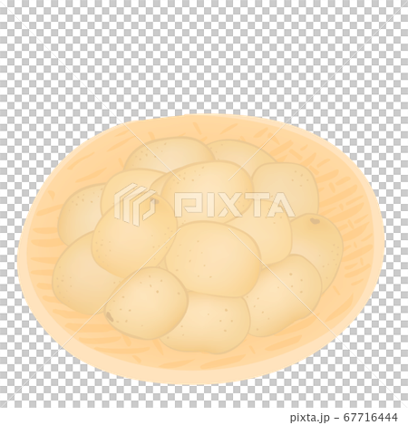 新土豆豐收(紅薯的矢量圖) 新土豆豐收(紅薯的矢量圖) 67716444